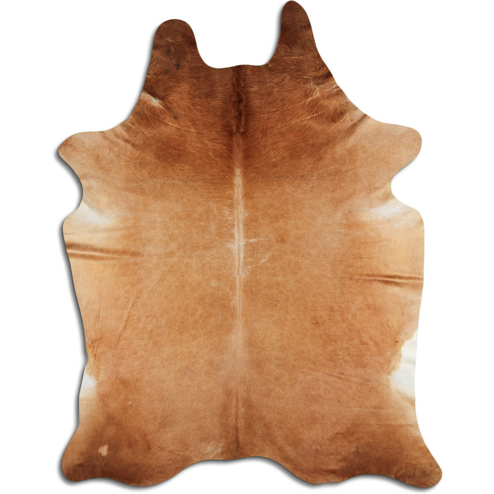 Brun kohud XXXL