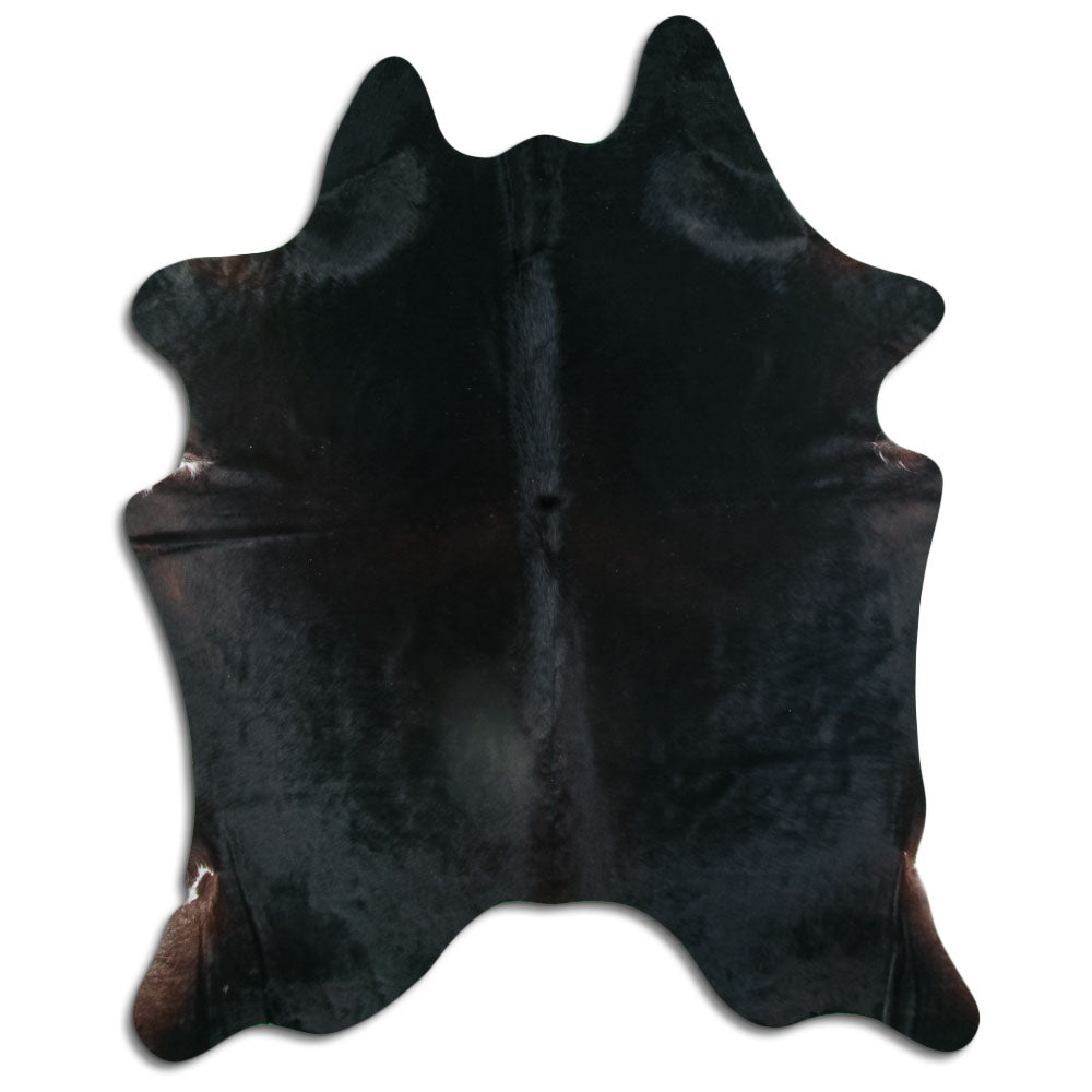 Brun kohud XL