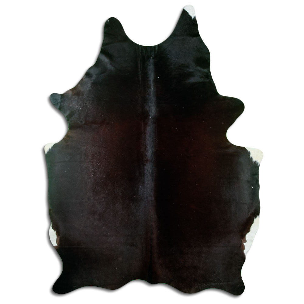 Brun kohud XL