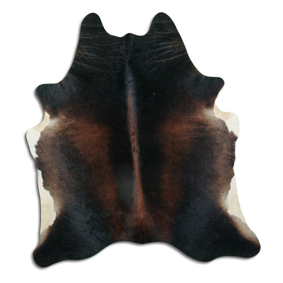 Brun kohud XL