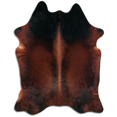 Brun kohud XL