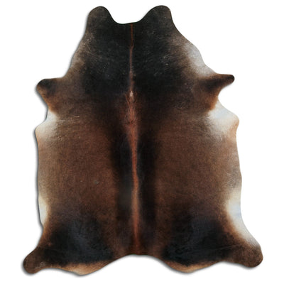 Brun kohud XL
