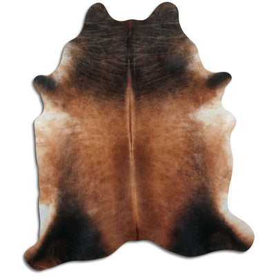 Brun kohud XXL