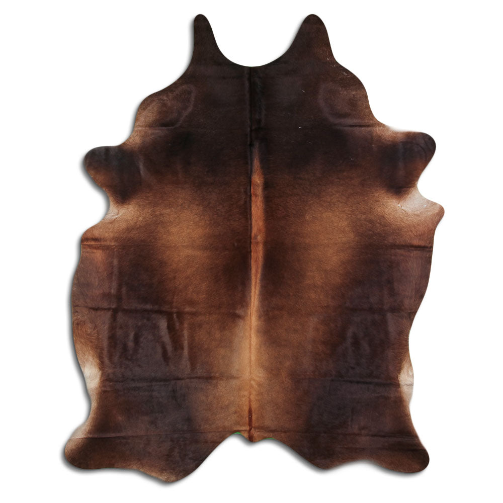 Brun kohud XL
