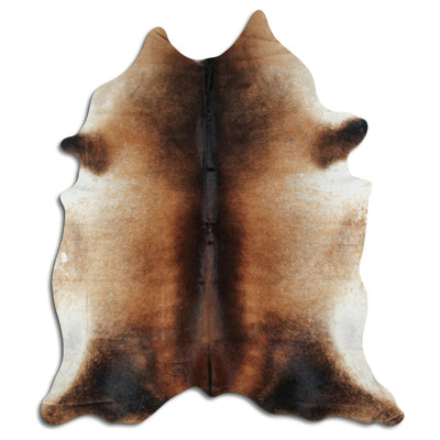Brun kohud XXL