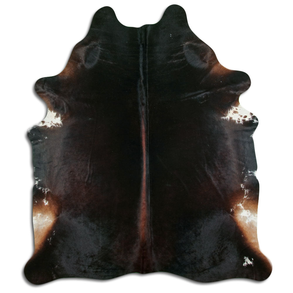 Brun kohud XL
