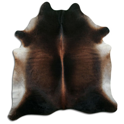 Brun kohud XXL