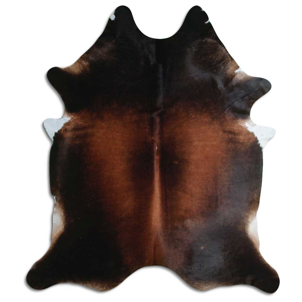 Brun kohud XXL