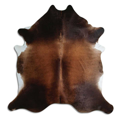 Brun kohud XL