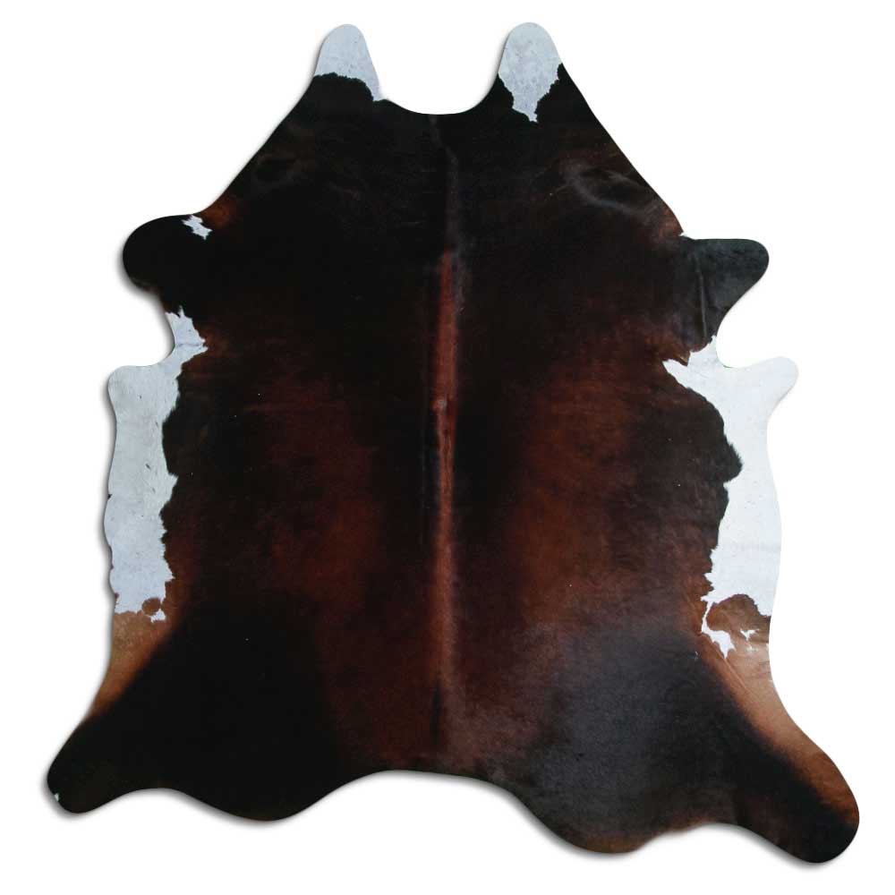 Brun kohud XL