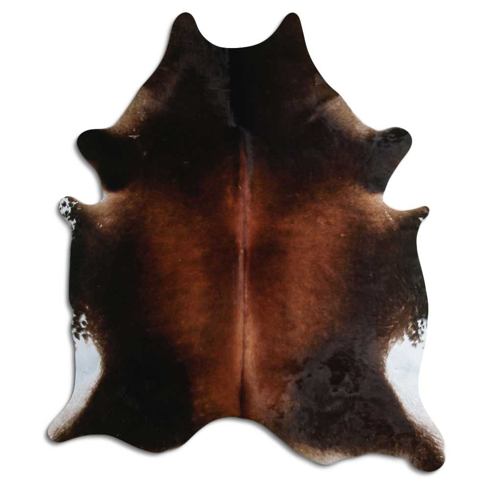 Brun kohud XL