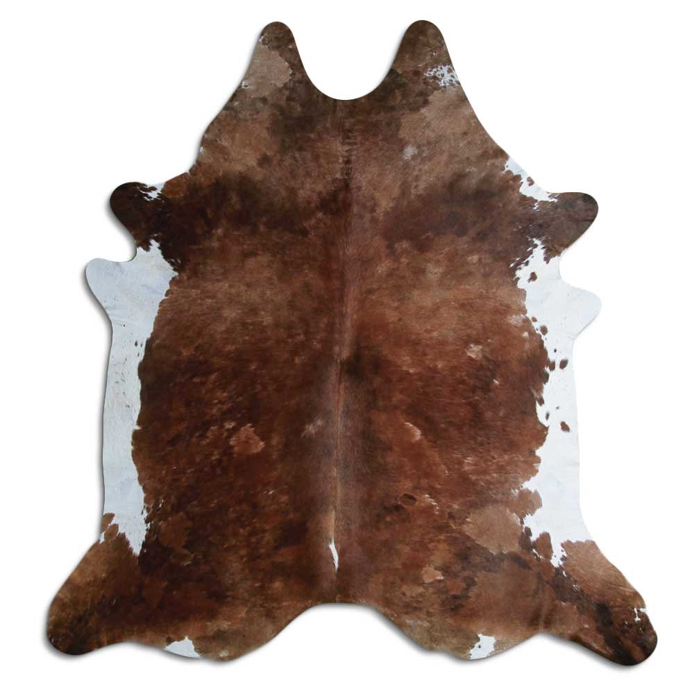 Brun kohud XXL