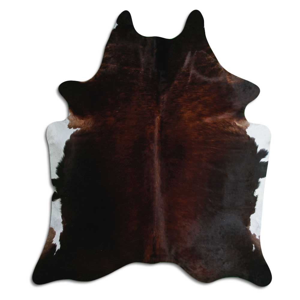Brun kohud XL
