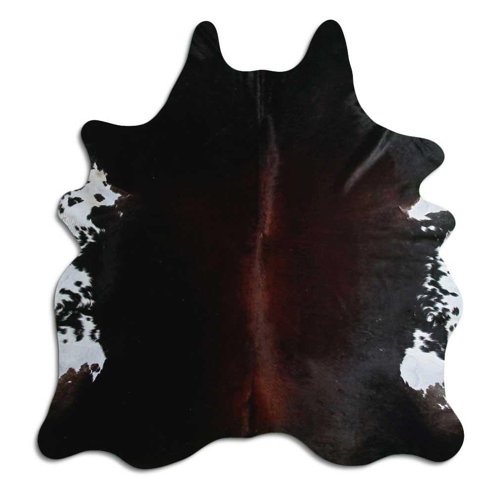 Brun kohud XL