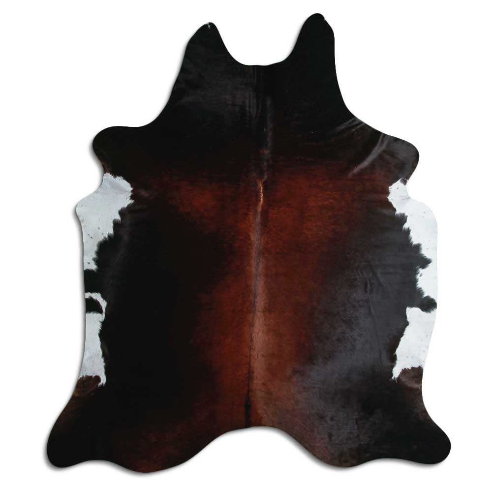 Brun kohud XL