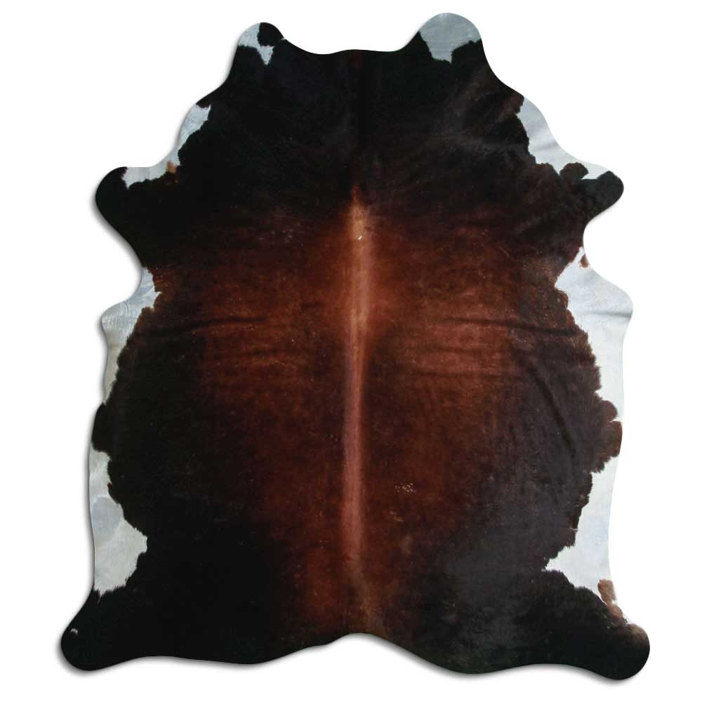 Brun kohud XXL