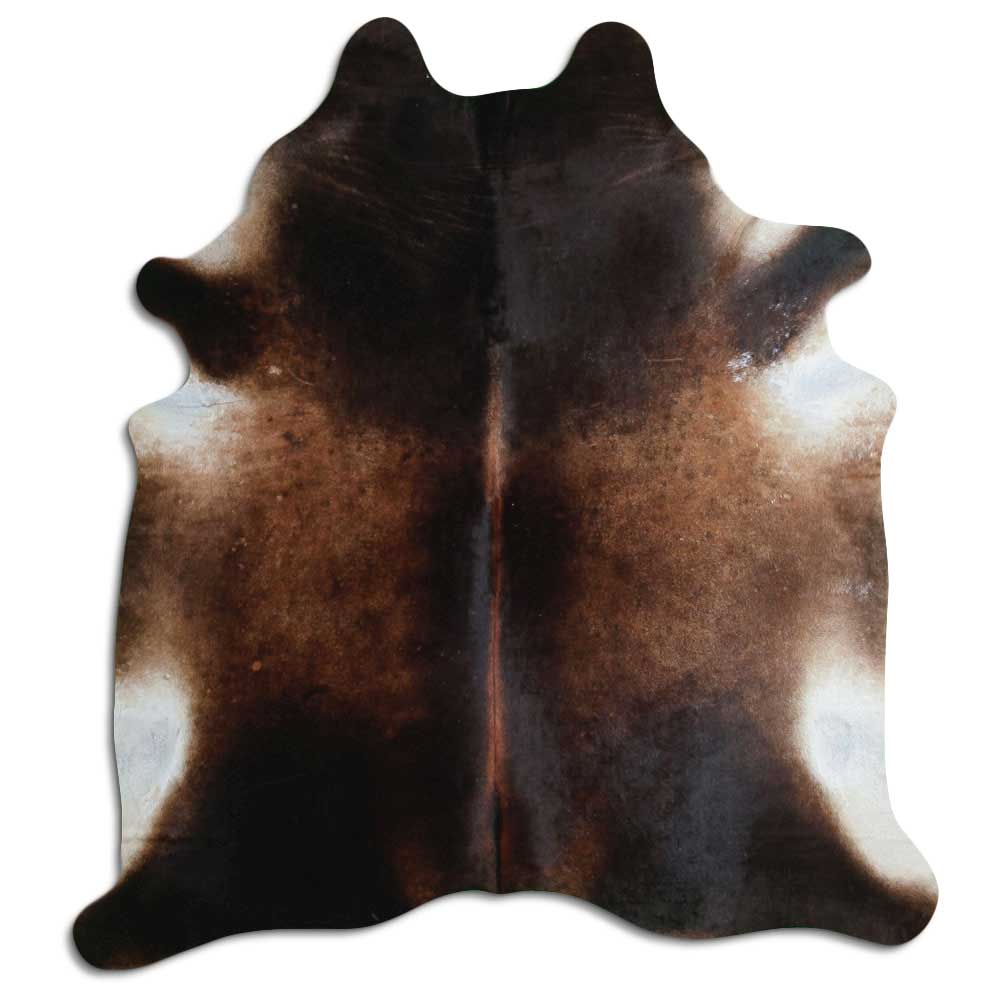Brun kohud XL