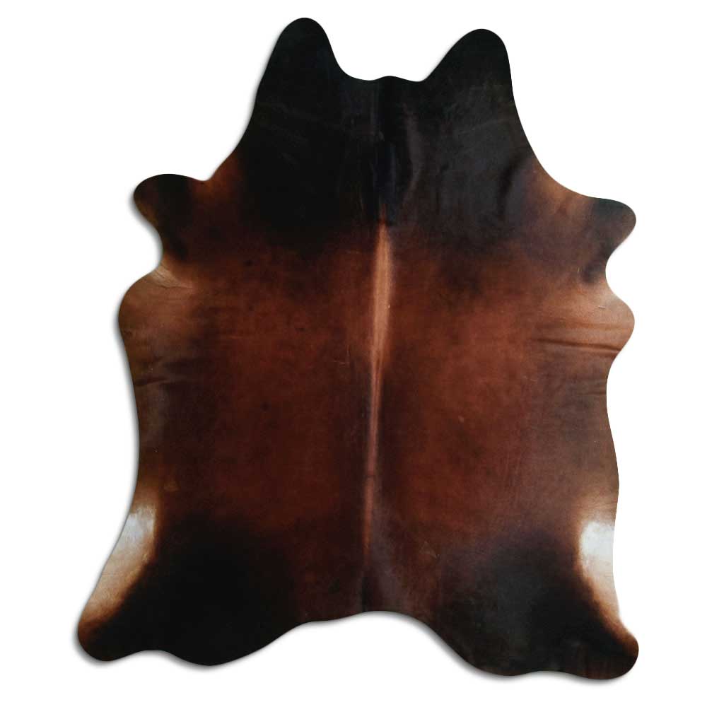 Brun kohud XL