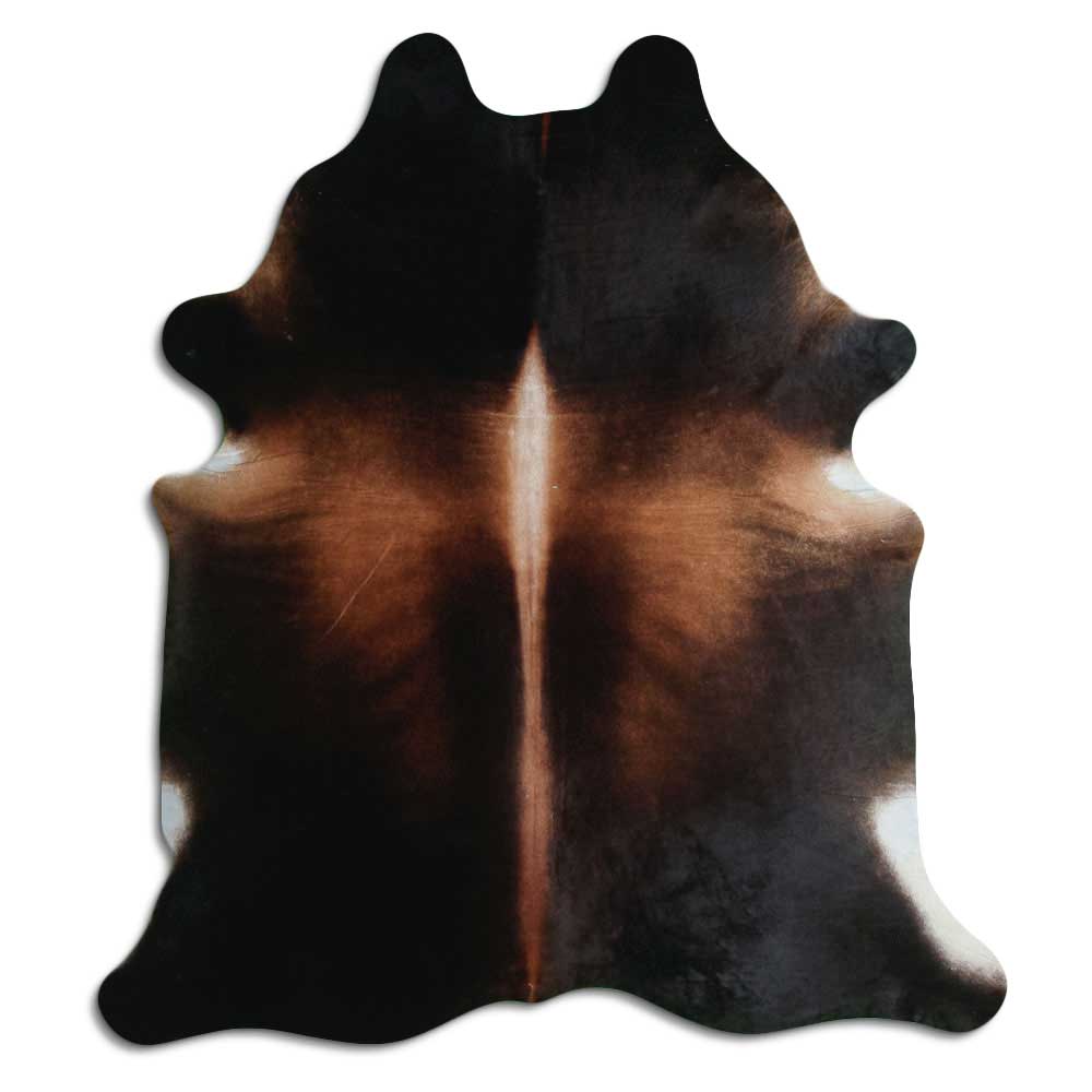 Brun kohud XL
