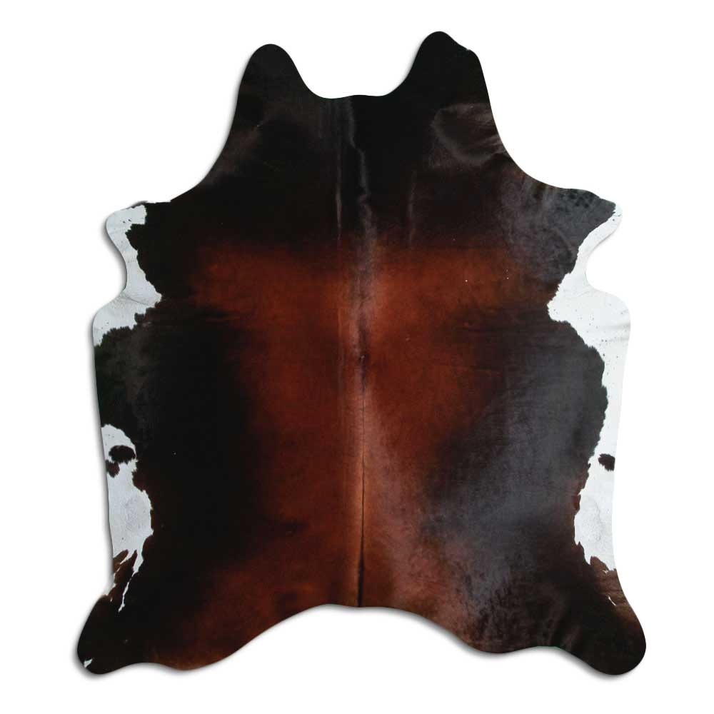Brun kohud XL