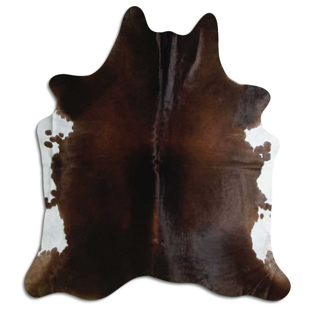 Brun kohud XL