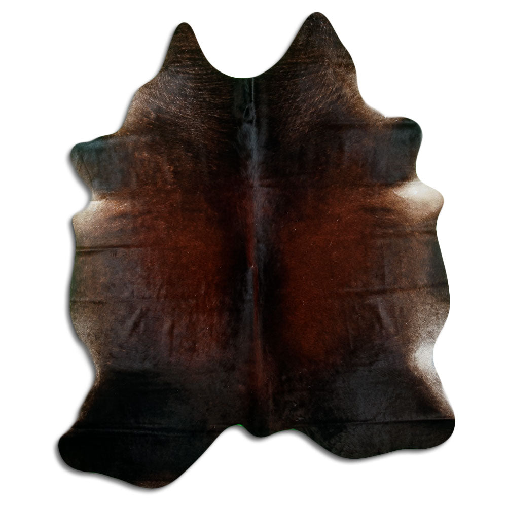 Brun kohud XL