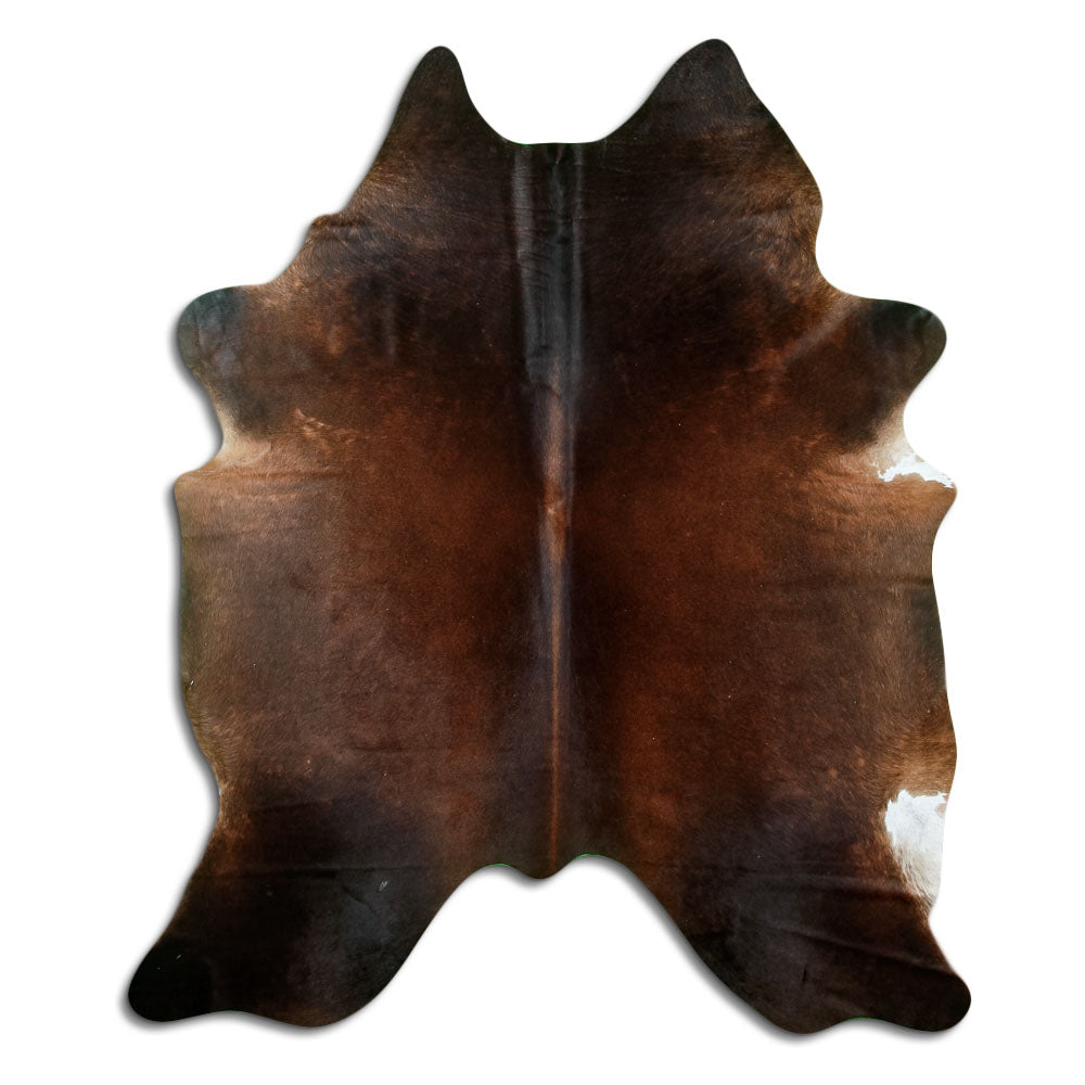 Brun kohud XL