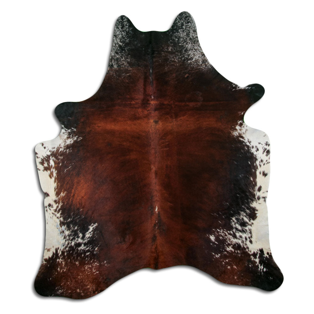 Brun kohud XL