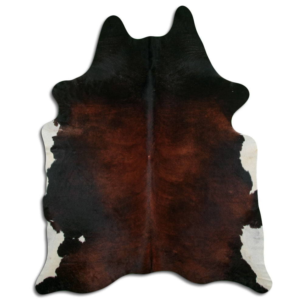 Brun kohud XL
