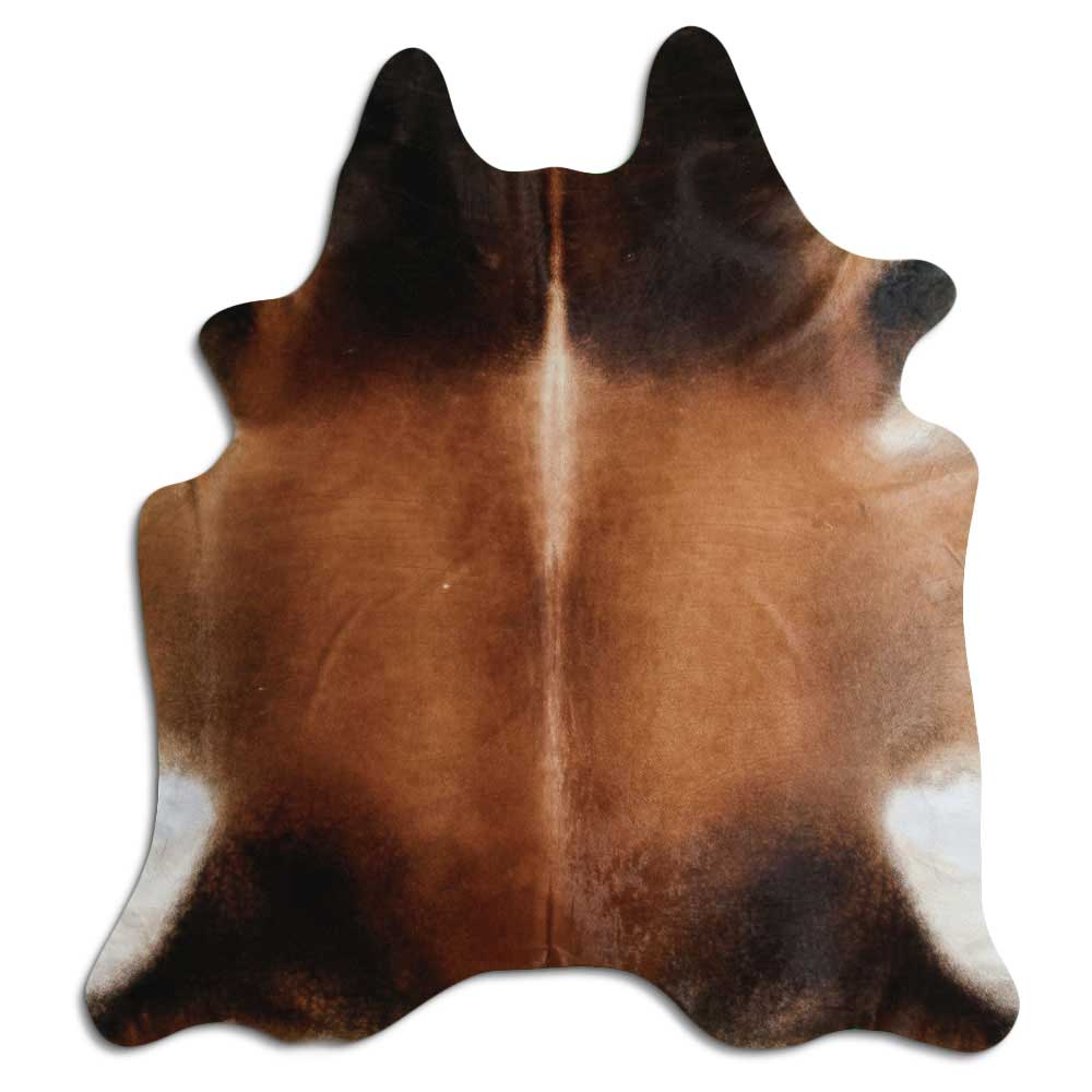 Brun kohud XXL