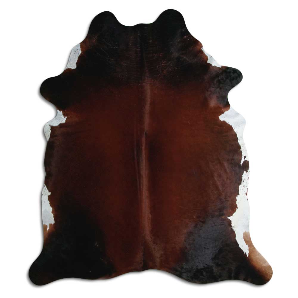 Brun kohud XXL