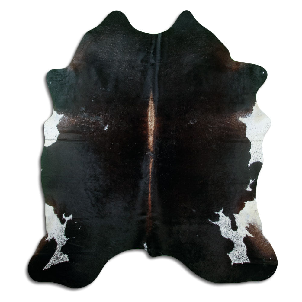 Brun kohud XL
