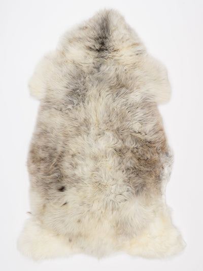 Flerfärgat fårskinn XL