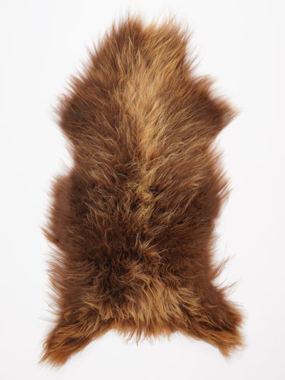 Isländskt fårskinn XXL