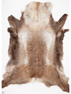 Renskinn XXXXL