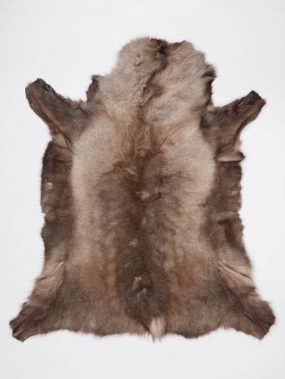 Šiaurinio elnio kailis XL