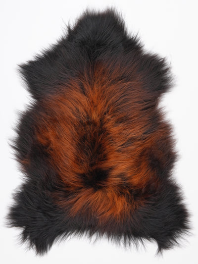 "Lava" Isländskt fårskinn XL