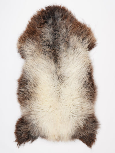 Flerfärgat fårskinn XXL