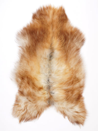 Isländskt fårskinn XL