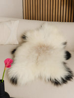 Isländskt fårskinn "Golsótt"