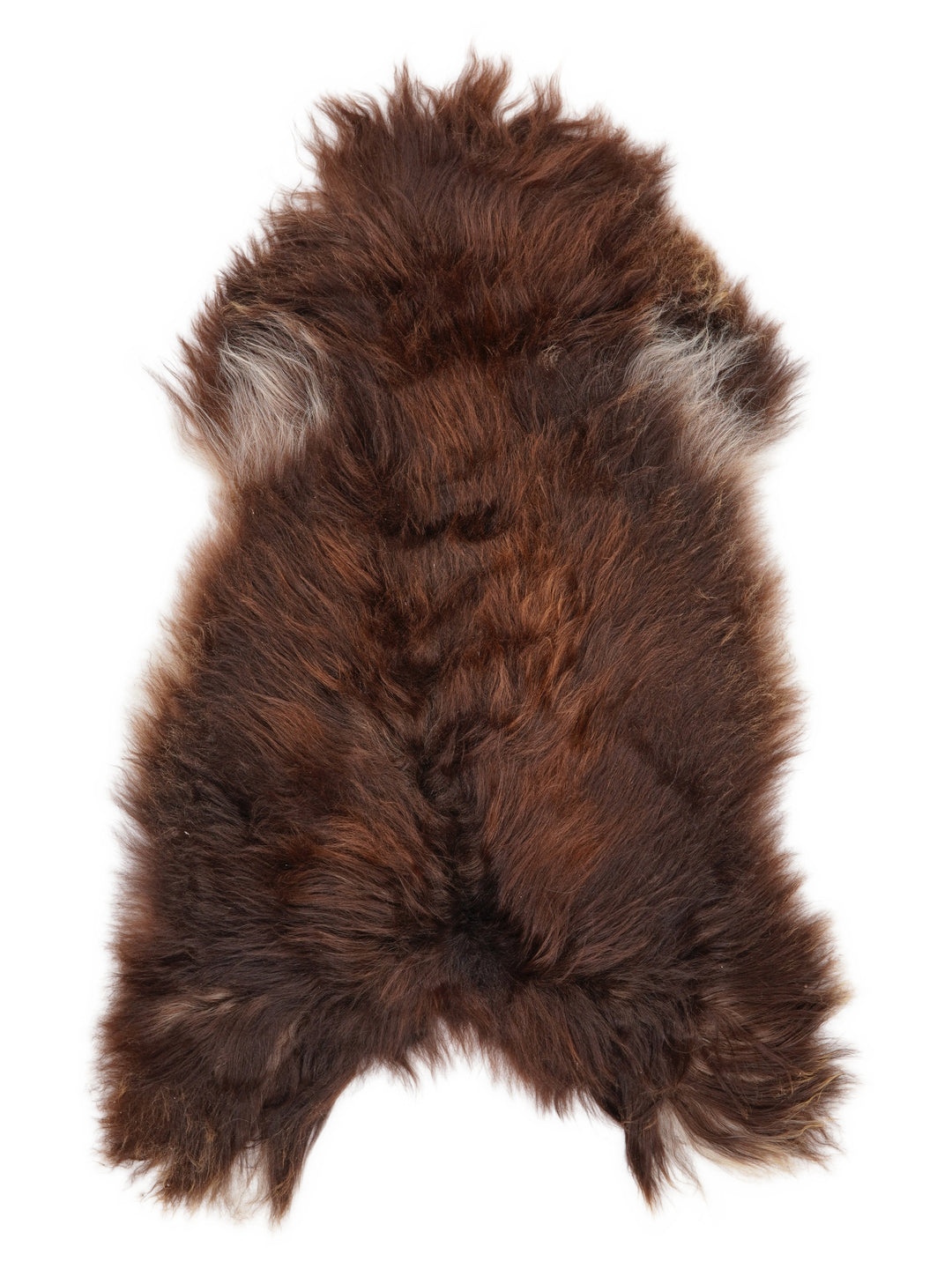 Islandiškas avikailis XXL