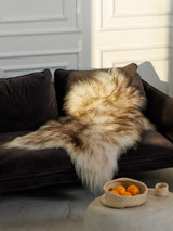 Mufflon