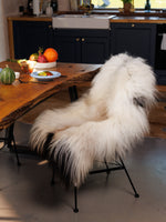 Isländskt fårskinn "Golsótt"