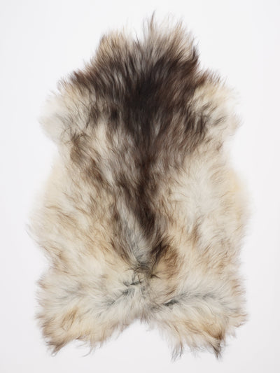 Isländskt fårskinn XL