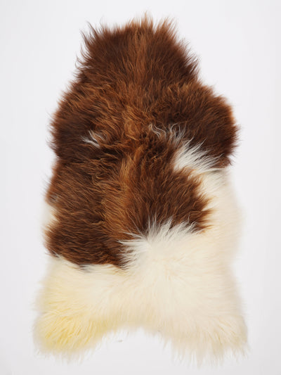 Isländskt fårskinn XXXL