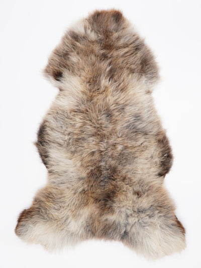 Flerfärgat fårskinn XXL
